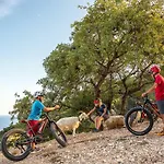 Bedbike Gæstehus Baunei