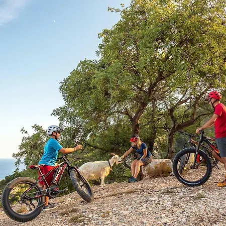 Bedbike Gasthof Baunei